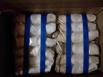 河南洛陽瀍河區(qū)杏鮑菇市場(chǎng)行情與批發(fā)采購(gòu)指南